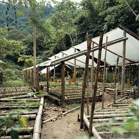 One Santuario Hotel Y Reserva Natural 帕洛米诺 外观 照片