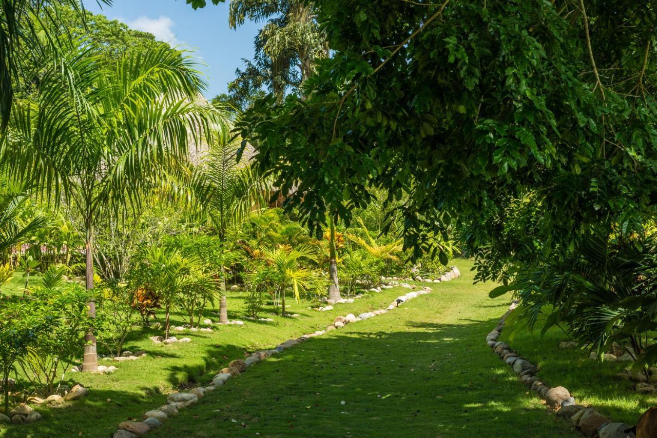 One Santuario Hotel Y Reserva Natural 帕洛米诺 外观 照片