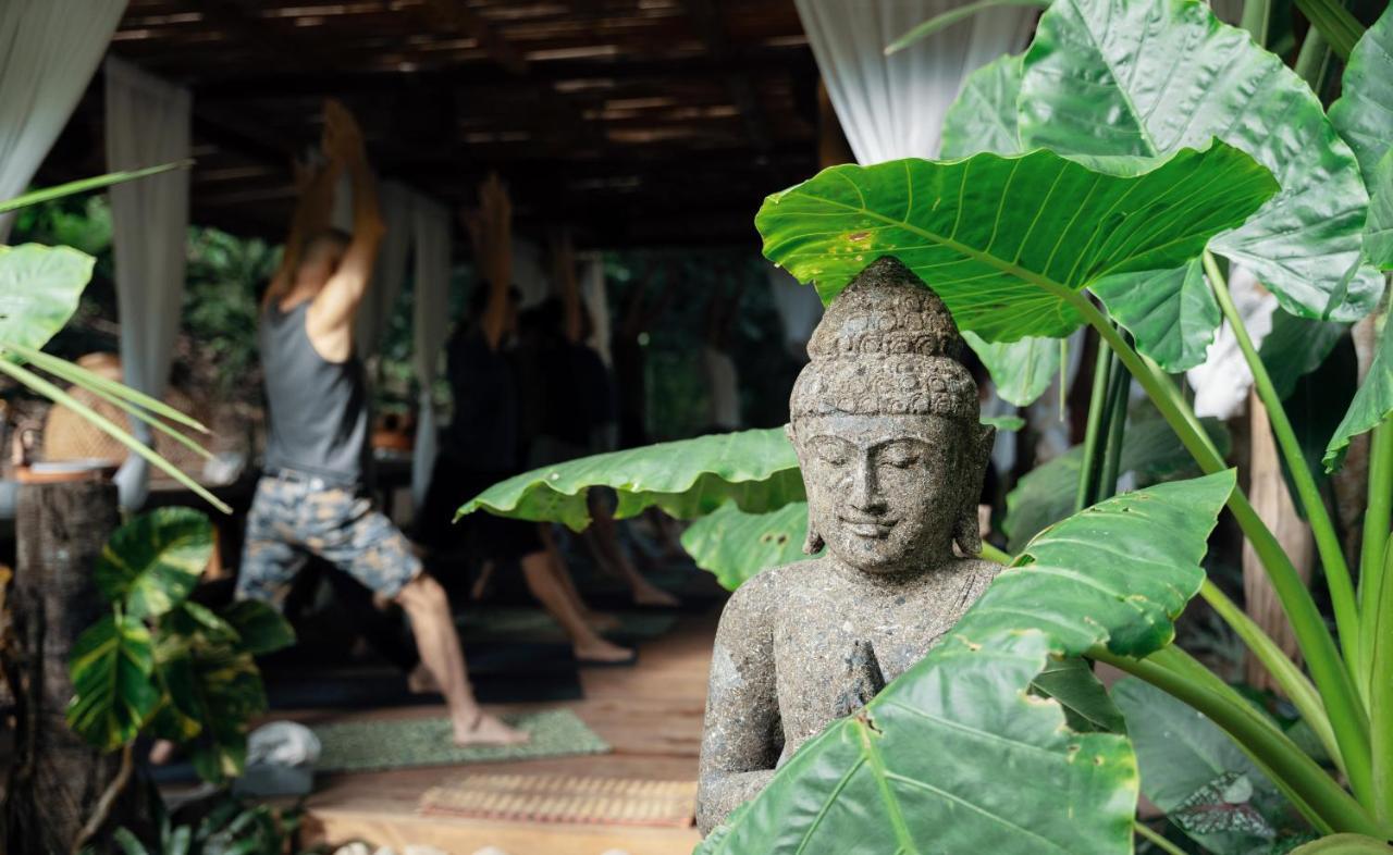 One Santuario Hotel Y Reserva Natural 帕洛米诺 外观 照片
