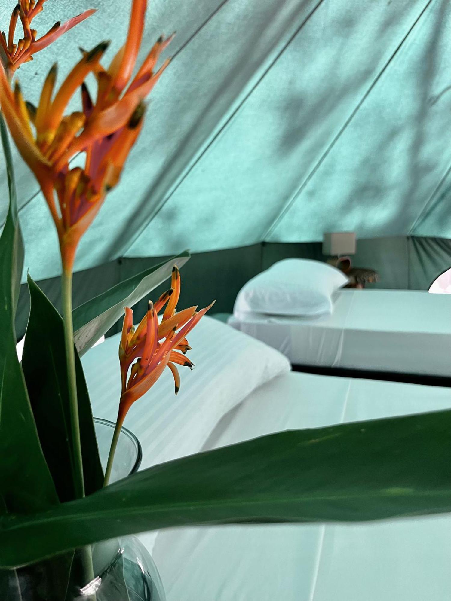 One Santuario Hotel Y Reserva Natural 帕洛米诺 客房 照片