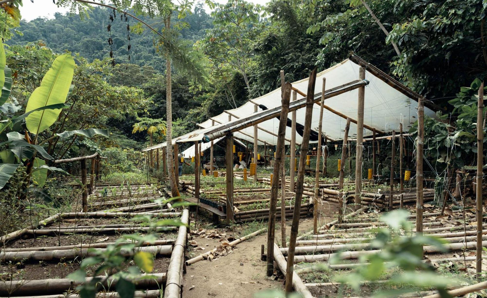 One Santuario Hotel Y Reserva Natural 帕洛米诺 外观 照片