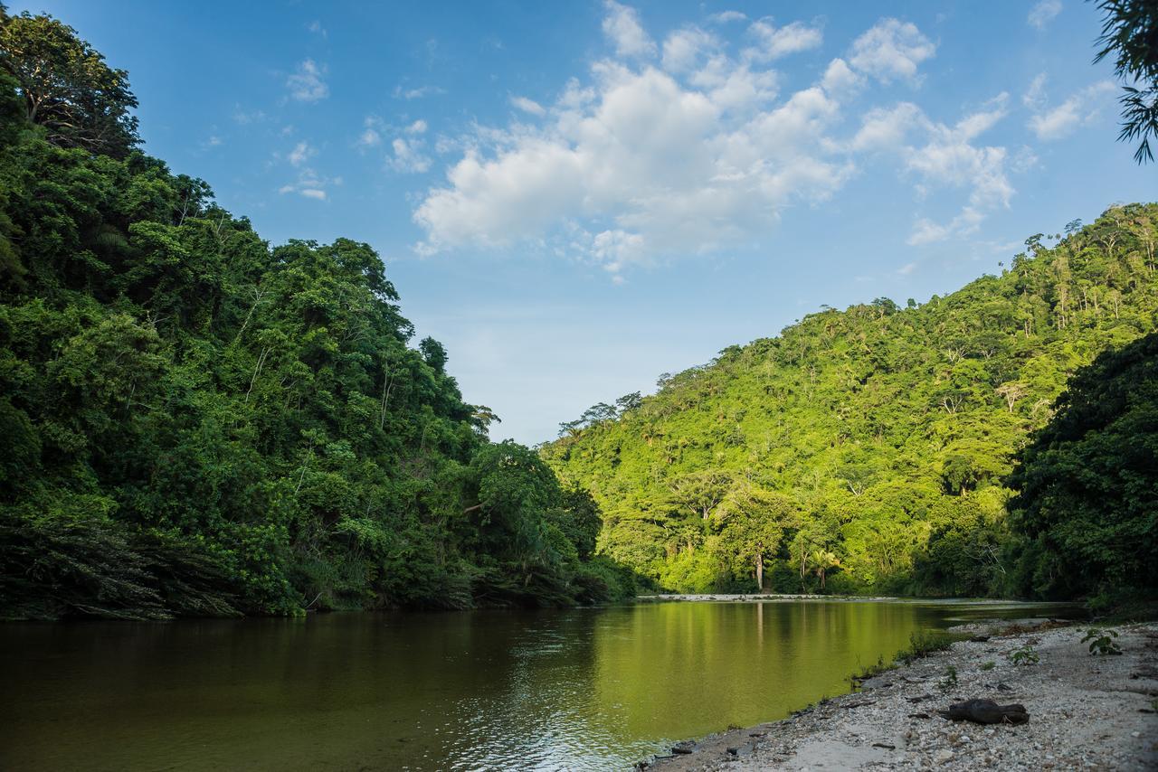 One Santuario Hotel Y Reserva Natural 帕洛米诺 外观 照片