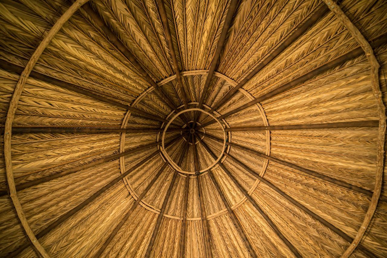 One Santuario Hotel Y Reserva Natural 帕洛米诺 外观 照片