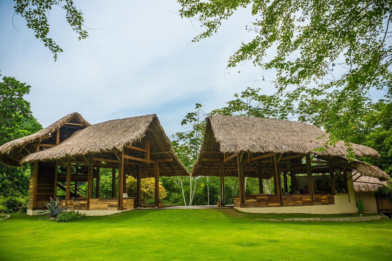 One Santuario Hotel Y Reserva Natural 帕洛米诺 外观 照片