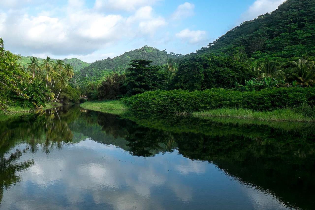 One Santuario Hotel Y Reserva Natural 帕洛米诺 外观 照片