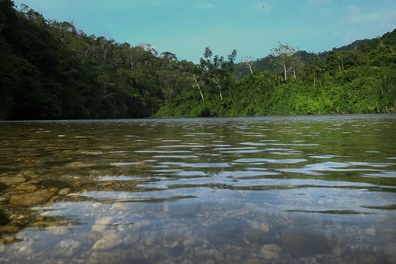 One Santuario Hotel Y Reserva Natural 帕洛米诺 外观 照片