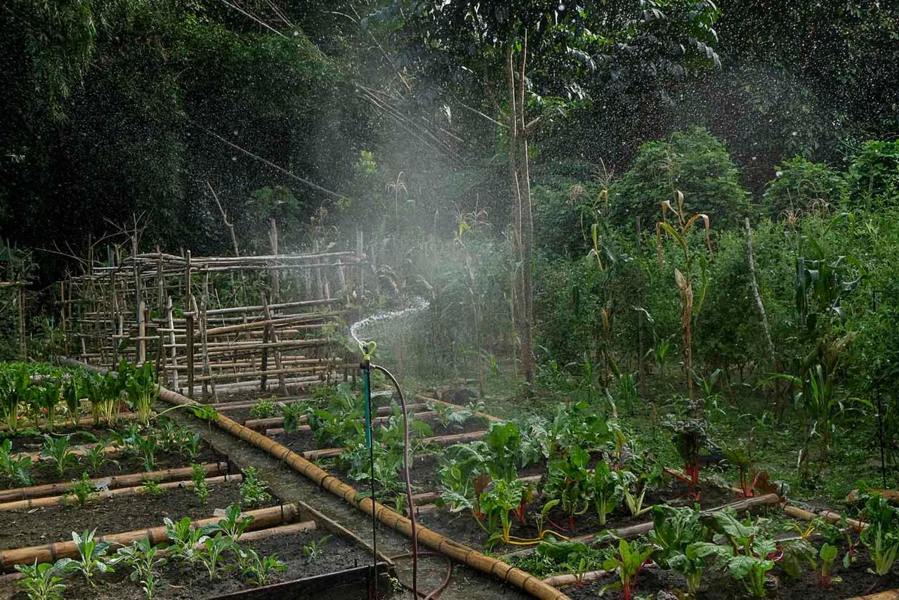 One Santuario Hotel Y Reserva Natural 帕洛米诺 外观 照片