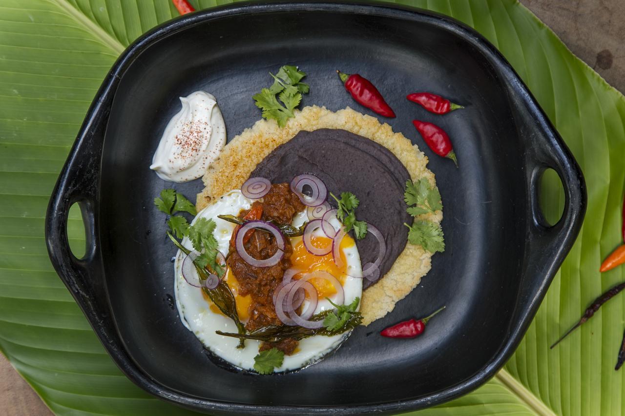One Santuario Hotel Y Reserva Natural 帕洛米诺 外观 照片